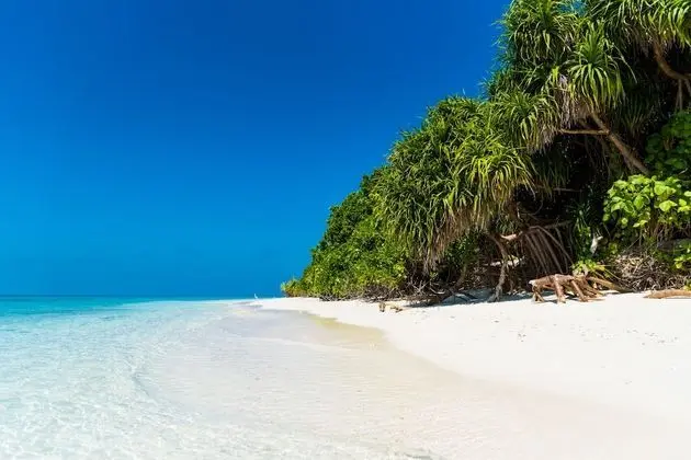 Villa Kamadhoo
