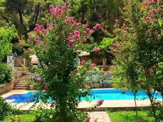 Kamarca House Hotel - Havuz