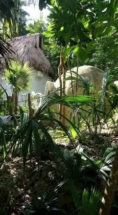 Kambulum Nature Eco-Villas - Dış Mekan