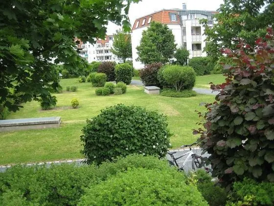 Kamelienweg Dresden in Dresden - Oda