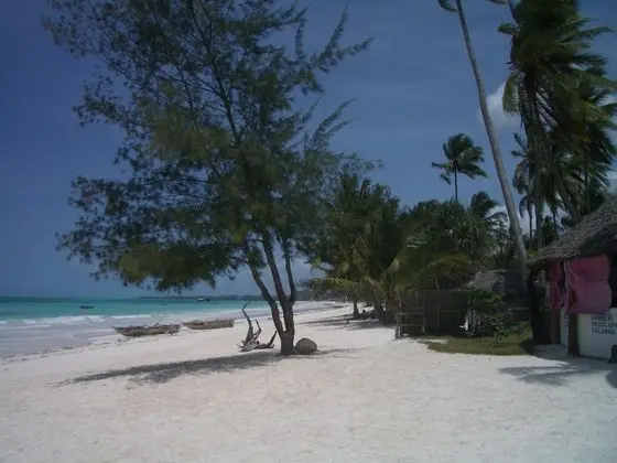 Kamili View Apartment in Zanzibar - Plaj