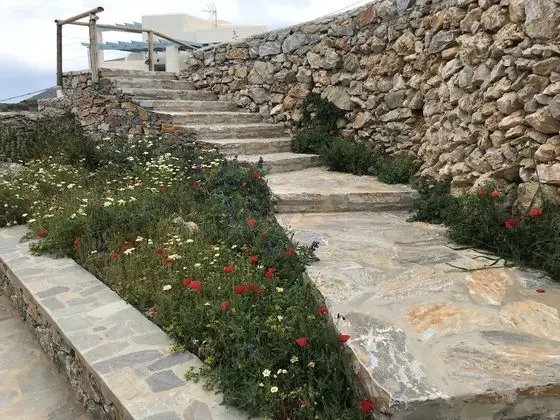 Kaminaki Amorgos Studios & Apartments - Dış Mekan