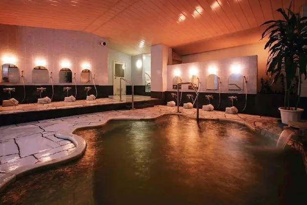 Kamogawa Universe Hotel - Havuz
