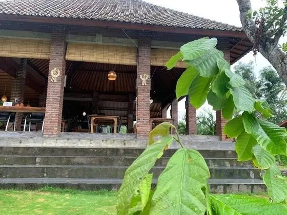 Kampung Coklat Jembrana