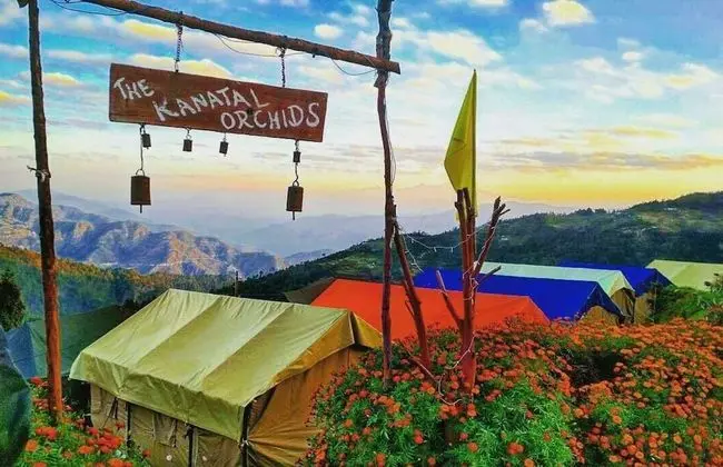 The Kanatal Orchids