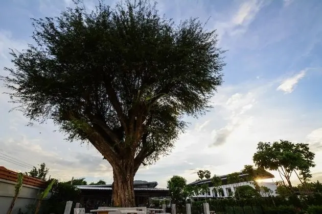 BY Hotel Kanchanaburi - Dış Mekan