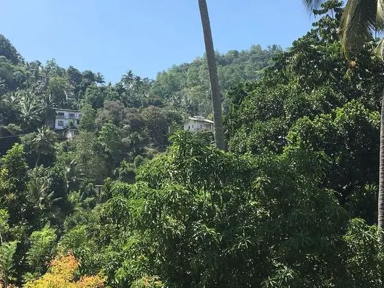 kandy home stay villa
