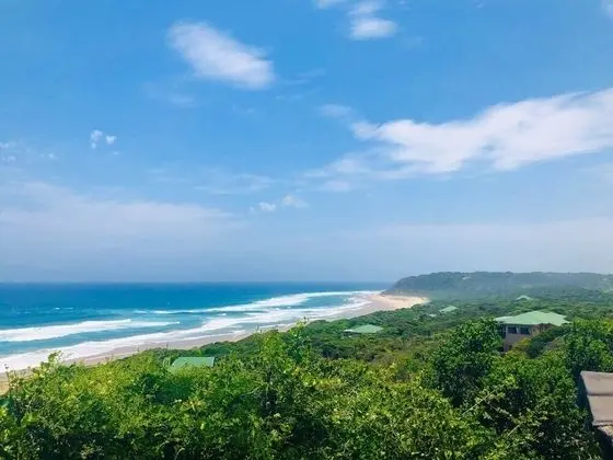Kangela 6