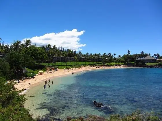 Kapalua Bay Villa 15b2