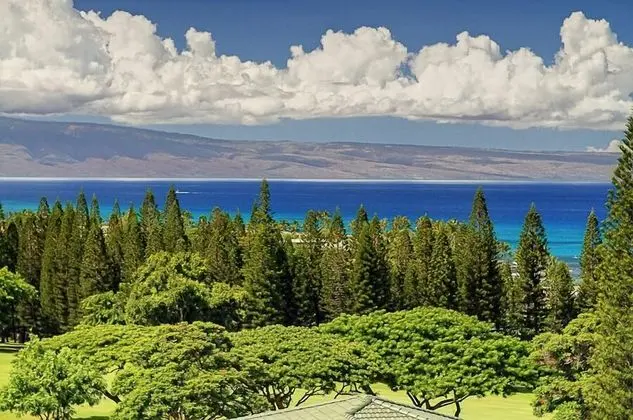 Kapalua Golf Villa 19v1 Gold Ocean View