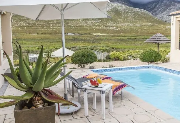 Kapensis Guesthouse - Havuz