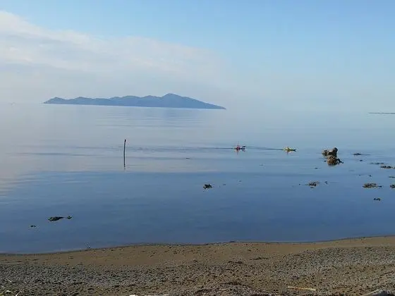 Kapiti Waves Beach Retreat - Plaj