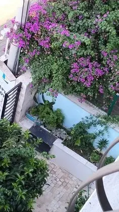 Kaptan Motel - Havuz