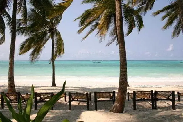 Karafuu Hotel Beach Resort - Plaj