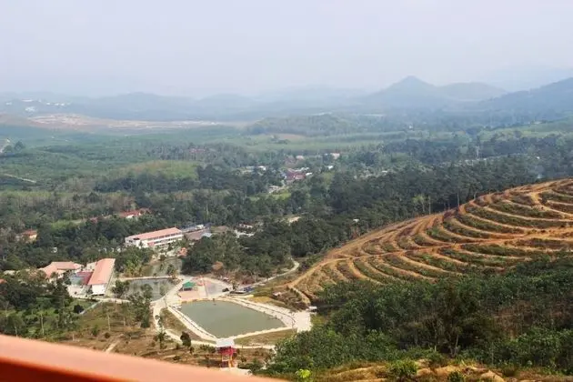 KARAK ORCHARD RESORTS