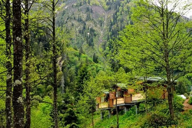 Kardelen Pansiyon