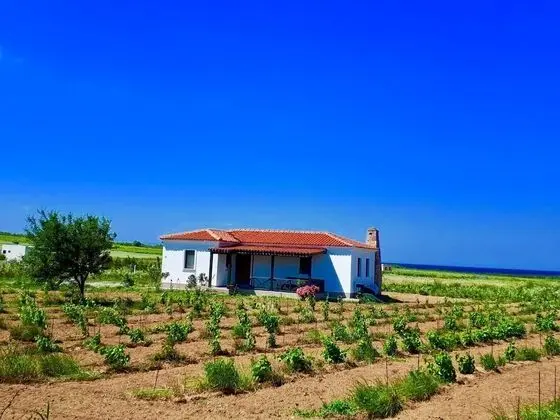 Karna Bağ Evi