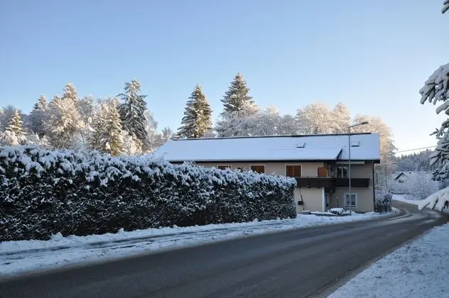 Kärnten Appartements & Rooms - Dış Mekan