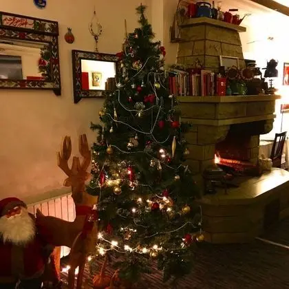 Kartaltepe Boutique Hotel - Lobi