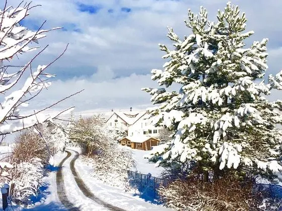 Kartaltepe Boutique Hotel - Öne Çıkan Resim
