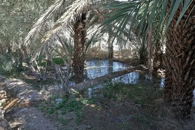 Hotel Kasbah Tissint - Dış Mekan
