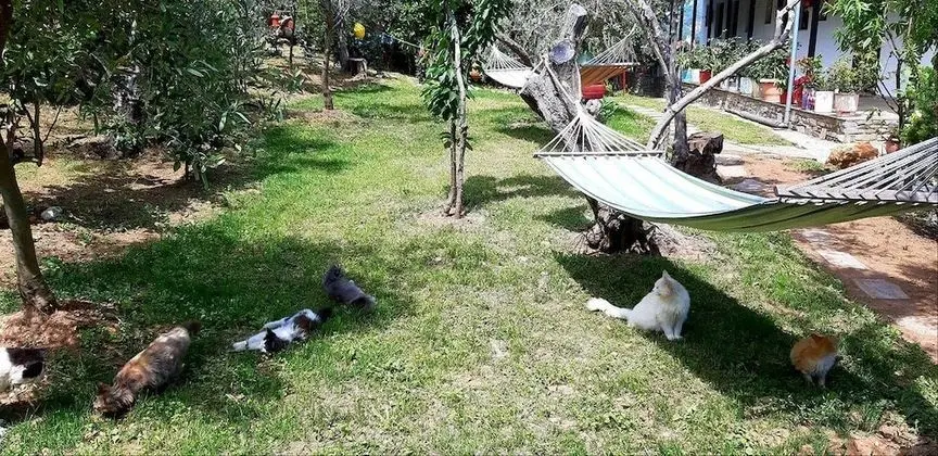 Katerina Fotopoulos Homes & Apartments - Dış Mekan