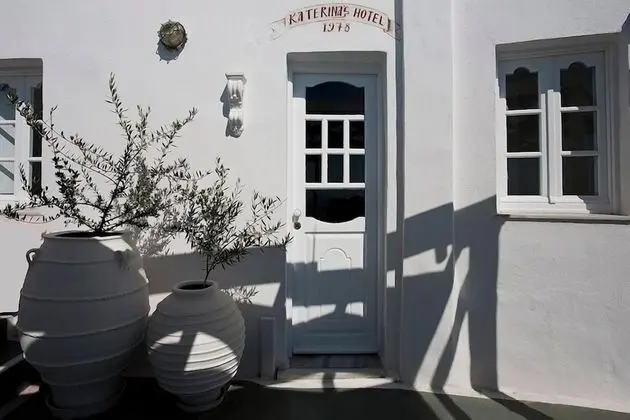Hotel Katerina's Castle - Dış Mekan