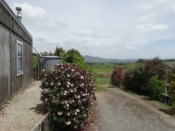 Kauri Lodge Karapiro - Dış Mekan