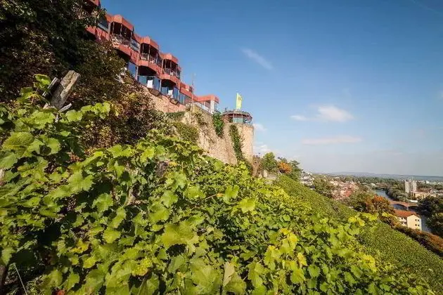 Kauzenburg Mit Landhotel