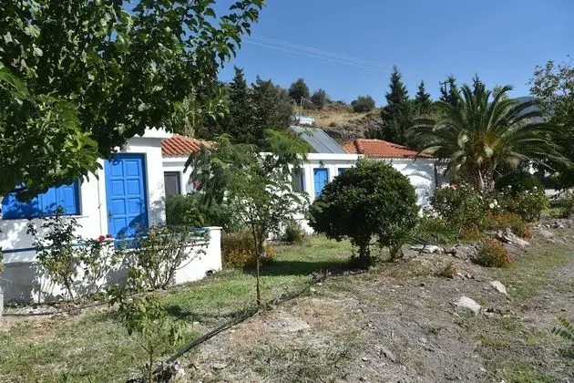 Kavaki Studios - Dış Mekan