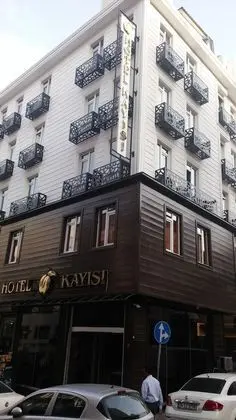 Otel Kayısı