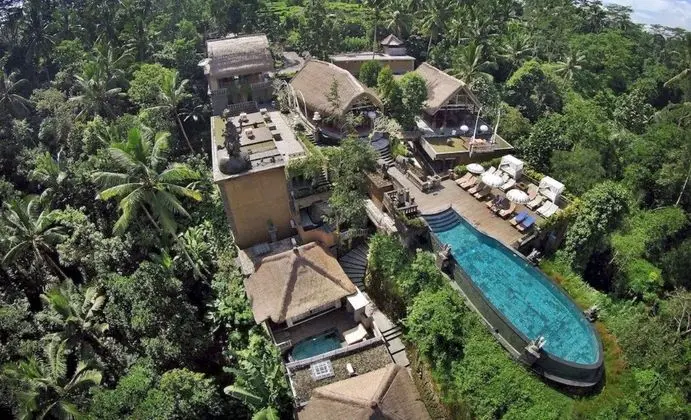 The Kayon Resort - Havuz
