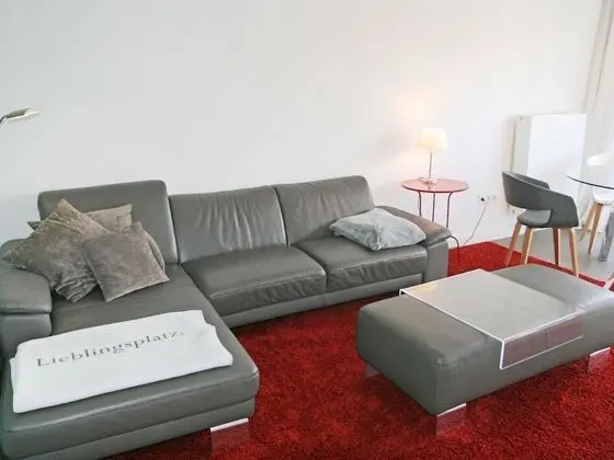 Kegelrobbe Norden in Norden