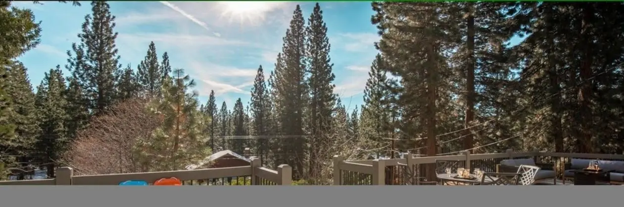 Kelly - Sugar Pine in Incline Village - Oda