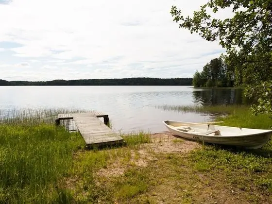 Keltalilja Sipsi in Sipsi - Oda