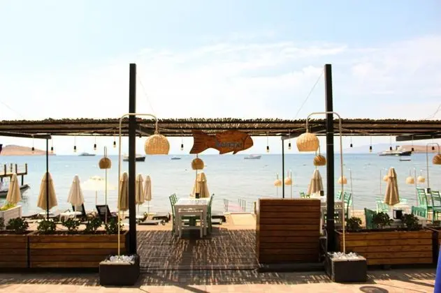 Kemanci Apart Restaurant - Suites - Genel