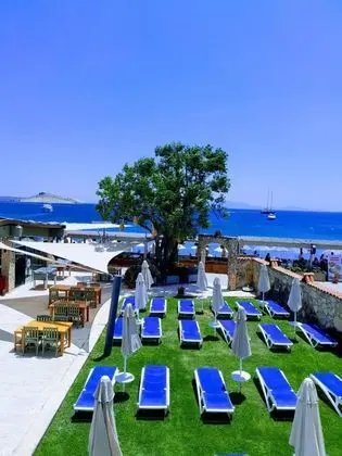 Kemanci Apart Restaurant - Suites - Genel