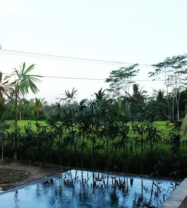 Villa Kemuning Ubud - Havuz