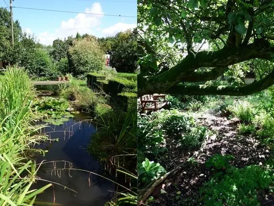 Kenilworth Garden Accommodation - Öne Çıkan Resim