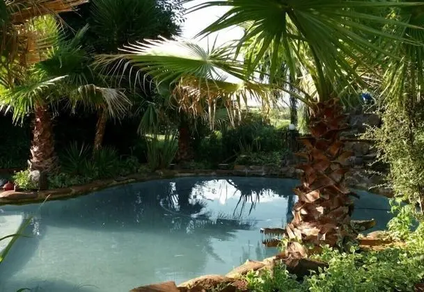 Kenjara Lodge - Havuz