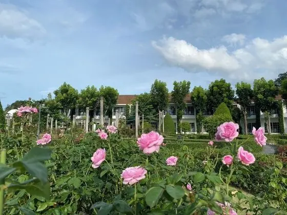 Kensington English Garden Resort Khaoyai - Dış Mekan