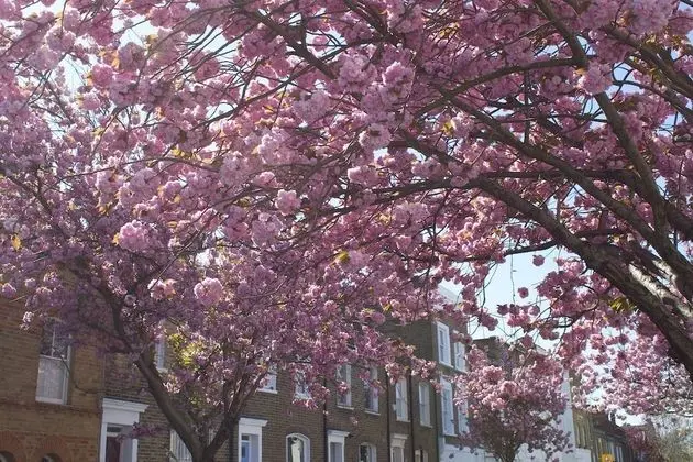 Kensington Olympia Apartments