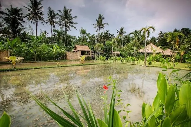 Keramas Sacred River Village