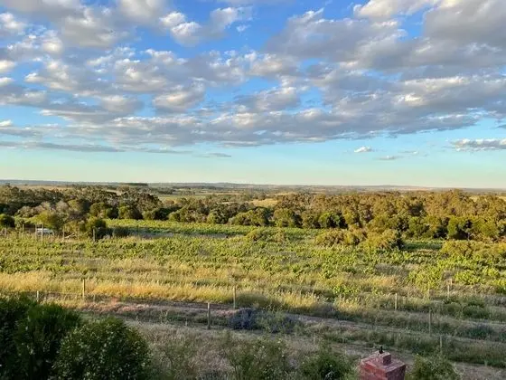 Kesehills Wines Villa - 1
