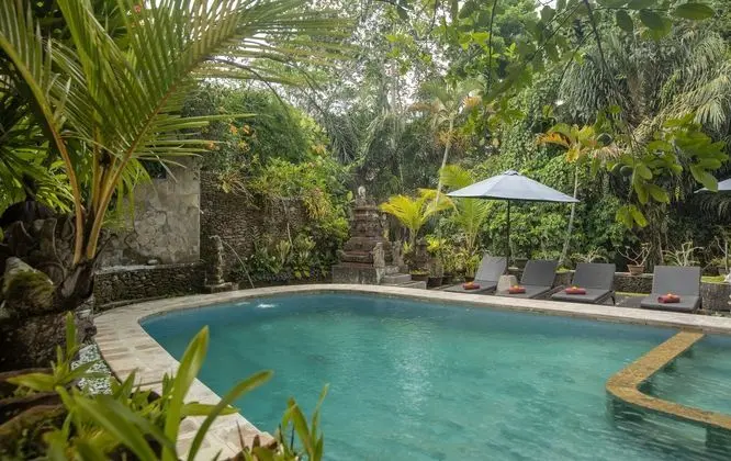 KETUT S PLACE - Havuz