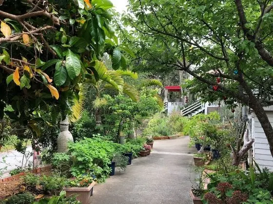 Key West Club Okinawa - Dış Mekan