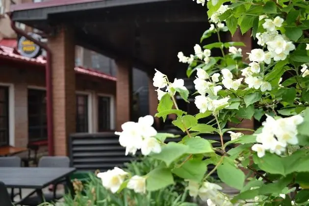 Khanuma Hotel - Öne Çıkan Resim