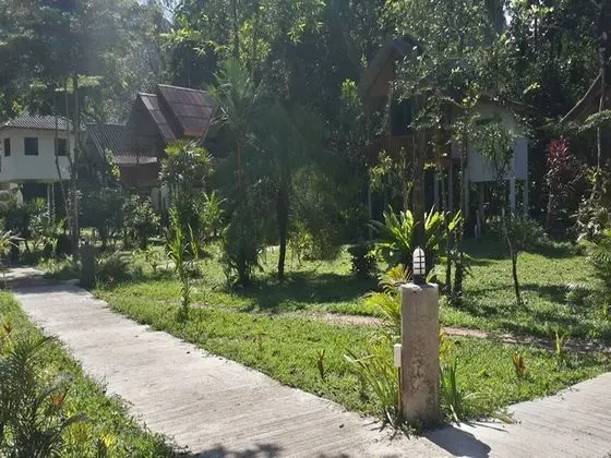Khao Sok Jungle Huts - Dış Mekan