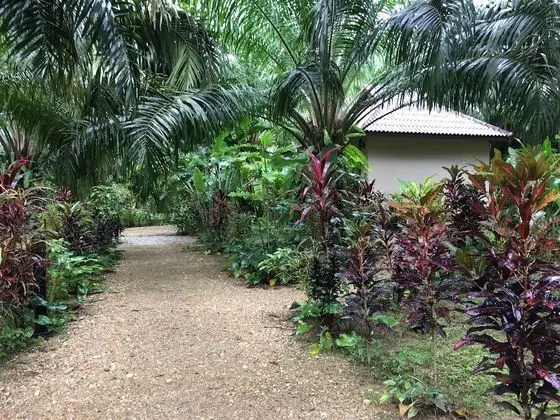 Khao Sok Palm Garden Resort
