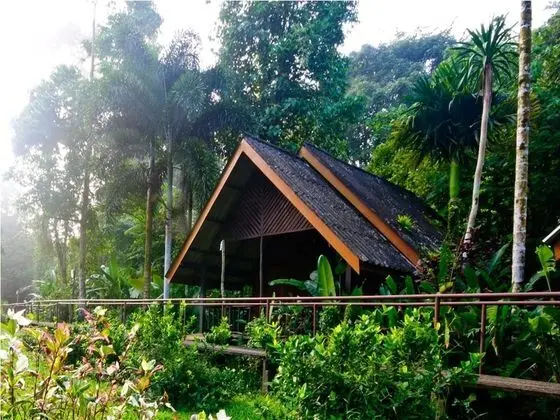 Khao Sok Riverside Cottage - Dış Mekan